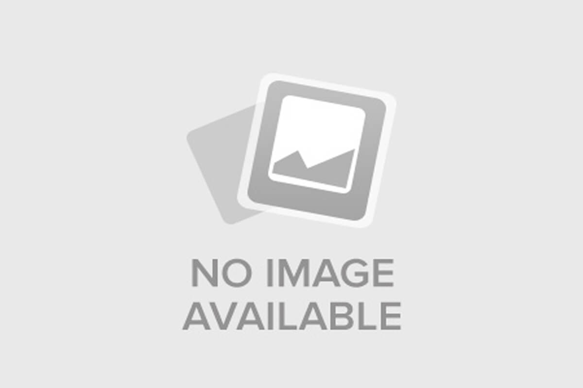 Непутёвая учёба / Дурное Воспитание